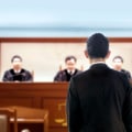 What is the term used for the government representative in a criminal case?