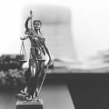 What is a local government lawyer?