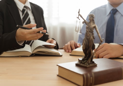 What are the two types of lawyers in a criminal case?