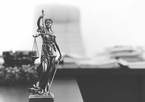 What is a local government lawyer?